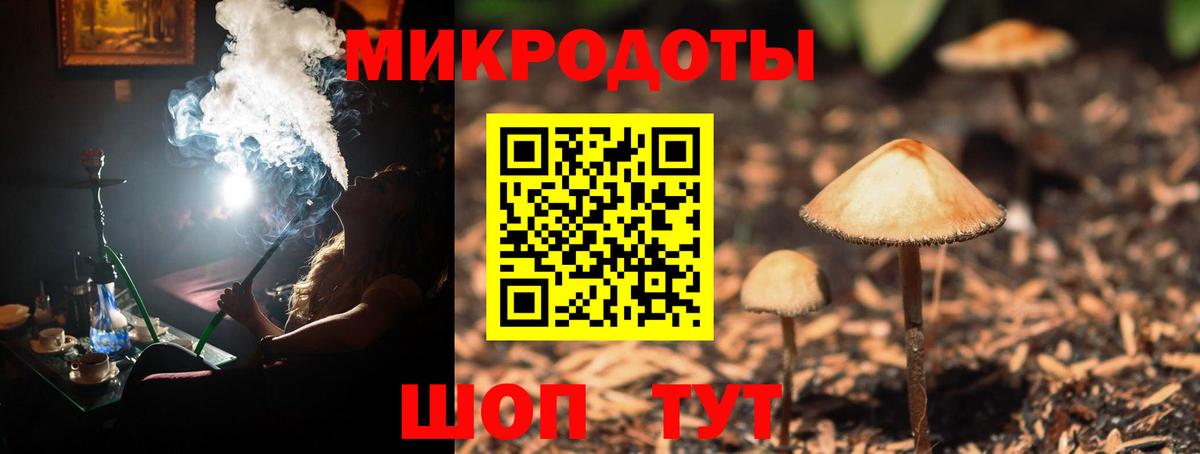 где продают наркотики  Галлюциногенные грибы GOLDEN TEACHER  Галлюциногенные грибы Psilocybine cubensis  Вход с VPN  Кувандык 
